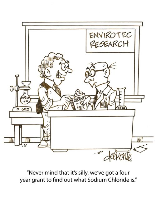 'Never mind that it's silly, we've got a four years grant to find out what Sodium Chloride is.'