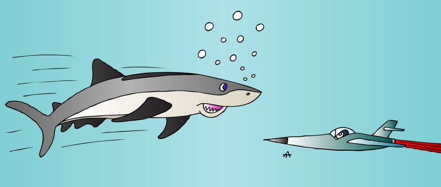 Shark and aircraft
