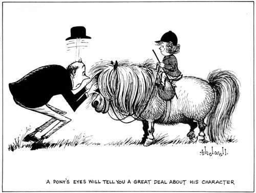 A pony's eyes will tell you a great deal about his character.