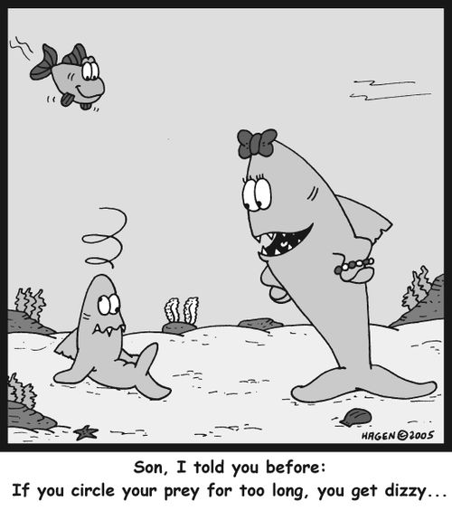 'Son, I told you before: If you circle your prey for too long, you get dizzy...'