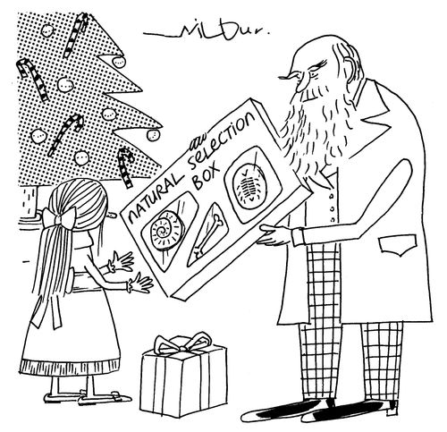 Natural Selection Box.