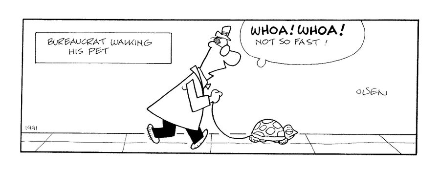 Bureaucrat Walking his Pet