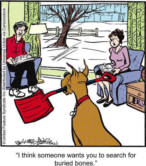 'I think someone wants you to search for buried bones.'