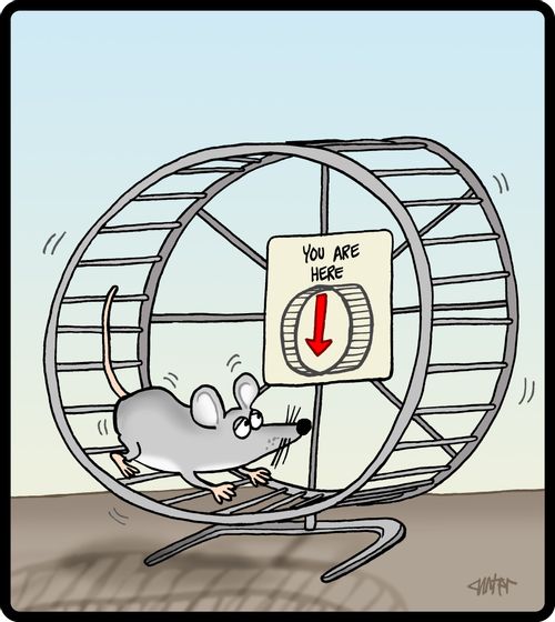 Mouse in a wheel looks at directory.