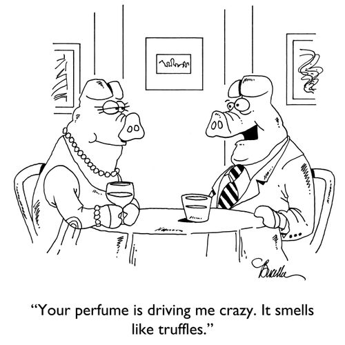 "Your perfume is driving me crazy. It smells like truffles."