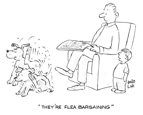 'They're flea bargaining.'
