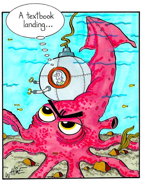 "A textbook landing..."