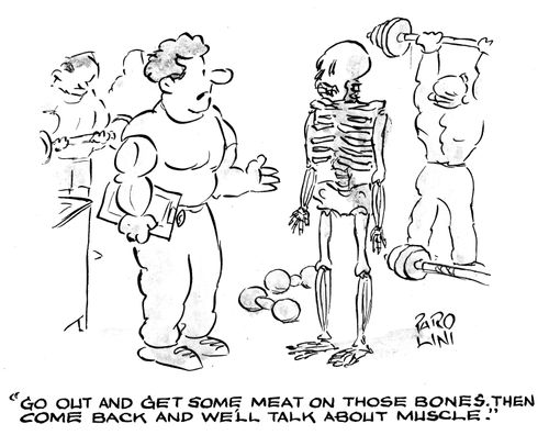 'Go out and get some meat on those bones. Then come back and we'll talk about muscle.'
