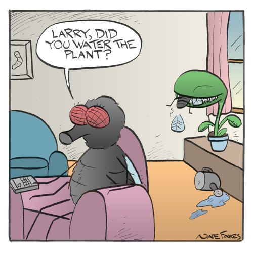 "Larry, did you water the plant?"