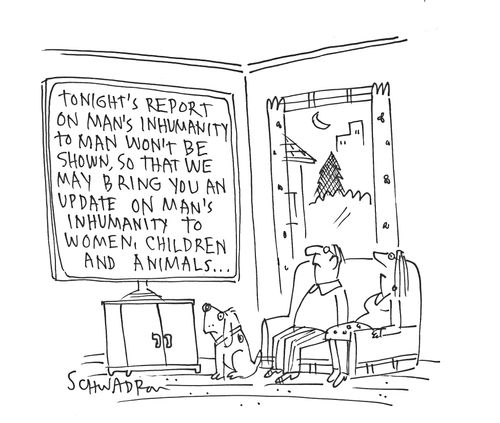 Tonight's report on the inhumanity to man won't be shown, so that we may bring an update on man's inhumanity to women, children and animals...