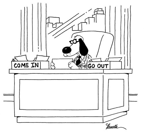 dog-come ingo out boxes