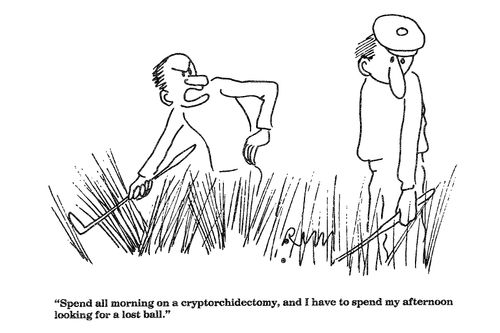'Spend all morning on a cryptorchidectomy...'