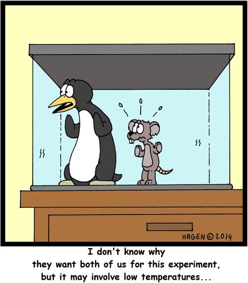 'I don't know why they want both of us for this experiment, but it may involve low temperatures...'