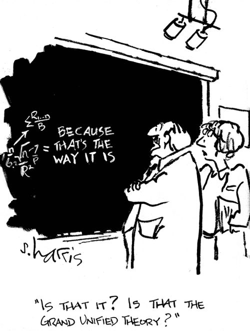 'Is that it? Is that the Grand Unified Theory?'