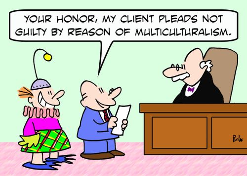 'Your Honor, my client pleads not guilty by reason of multiculturalism.'