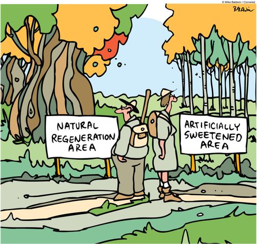Natural Regeneration area / Artificially Sweetened area.
