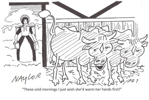 'These cold mornings I just wish she'd warm her hands first!'