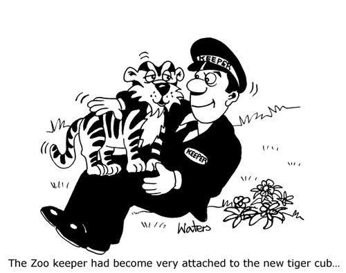 The  Zoo keeper had become very attached to the new tiger cub,,,