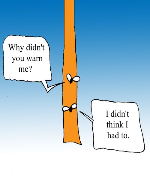"Why didn't you warn me?"