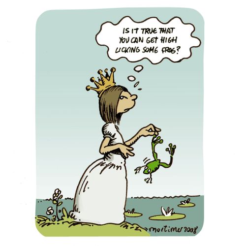 Is it true you can get high licking some frog?