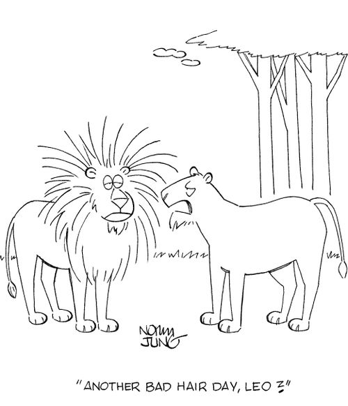 'Another bad hair day, Leo?'