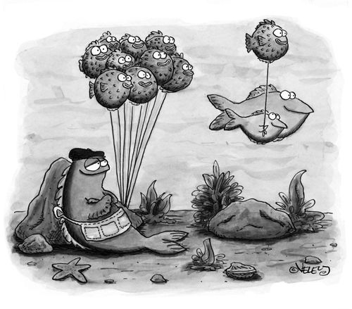 Puffer fish balloon vendor