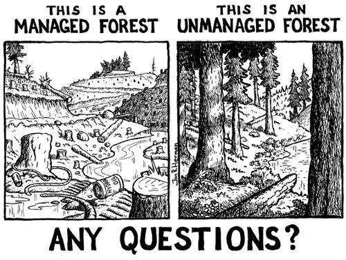 'This is a managed forest. This is an unmanaged forest. Any Questions?'