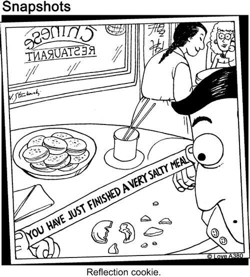 Reflection Cookie: You have just finished a very salty meal.