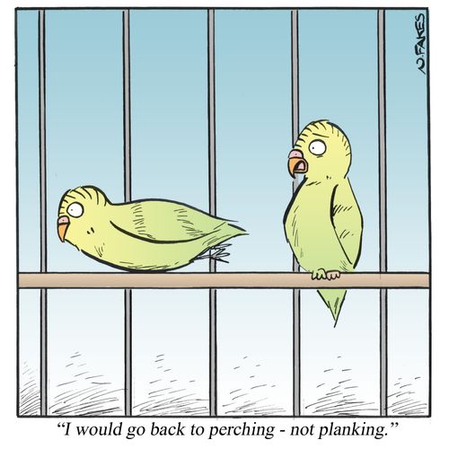 'I wood go back to perching - not planking.'