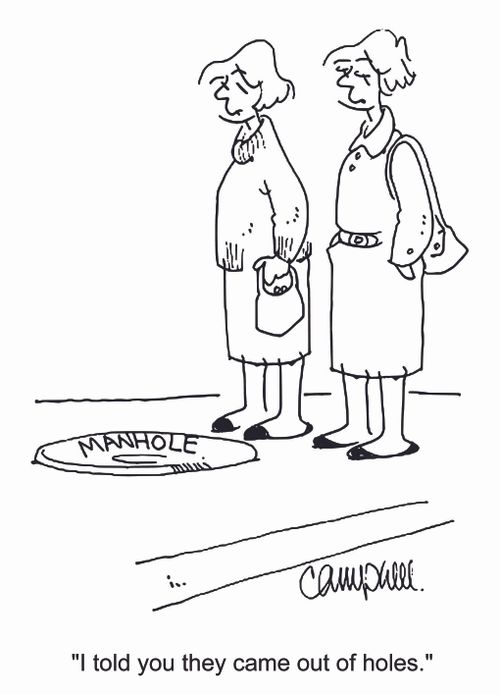 'I told you they came out of holes.'
