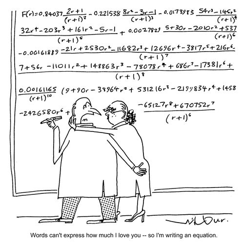'Words can't express how much I Love You - so I'm writing an equation.'