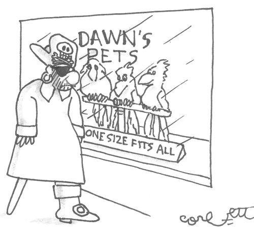 Dawn's Pets: One Size Fits All.