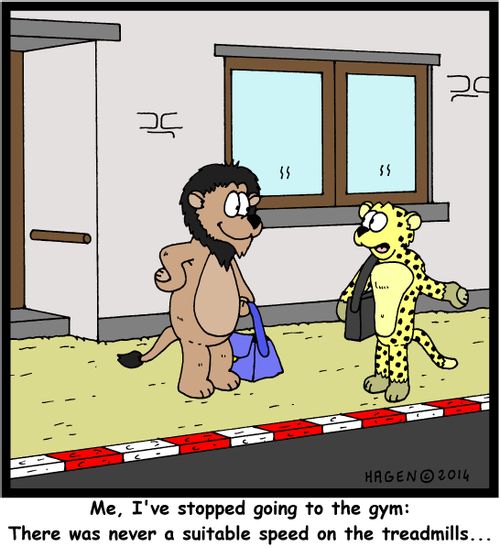 'Me, I've stopped going to the gym: There was never a suitable speed on the treadmills...'
