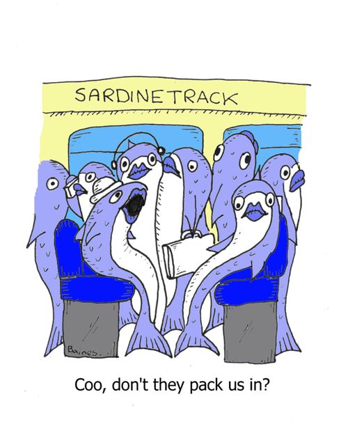 Commuting with Sardinetrack - 'Coo, don't they pack us in?'