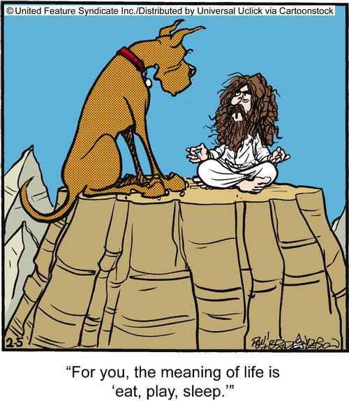 'For you, the meaning of life is 'eat, play, sleep'.'