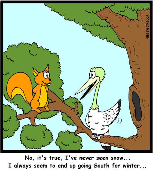 'No, it's true, I've never seen snow... I always seem to end up going South for winter...'