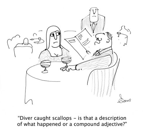 'Diver caught scallops - is that a description of what happened or a compound adjective'