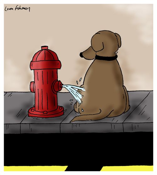 A fire hydrant pees on a dog. 