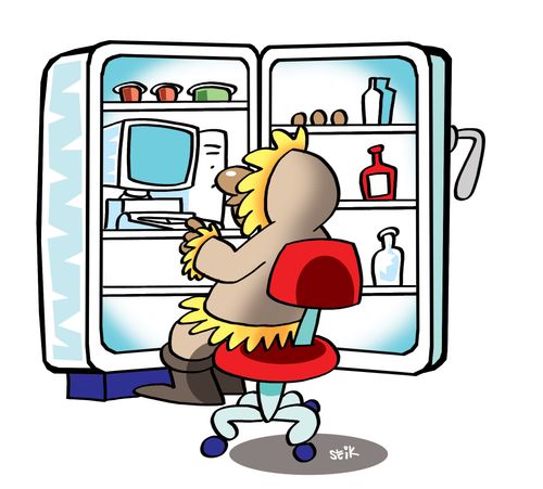 Eskimo and his PC in fridge.