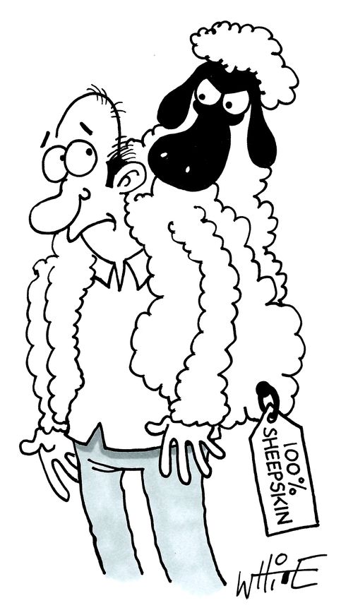100% sheepskin...