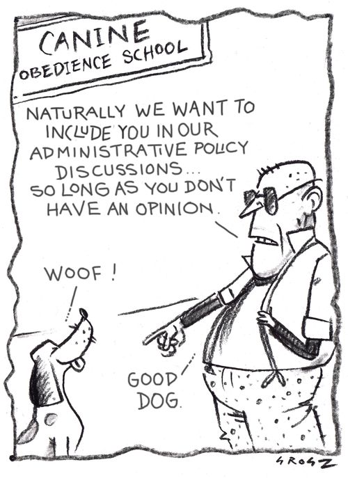 Canine Obedience School