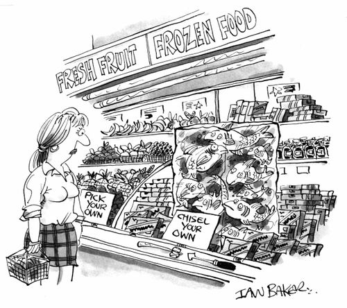 Frozen Food - Pick Your Own