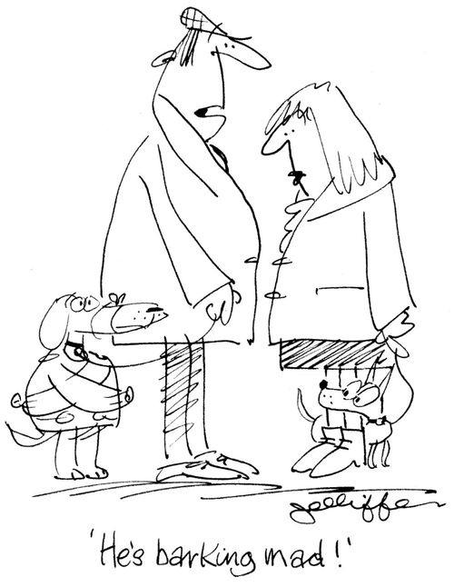 'He's barking mad!'
