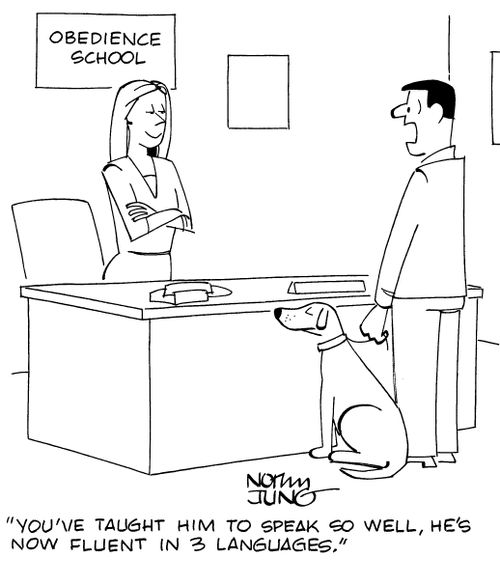 "You've taught him to speak so well, he's now fluent in 3 languages."