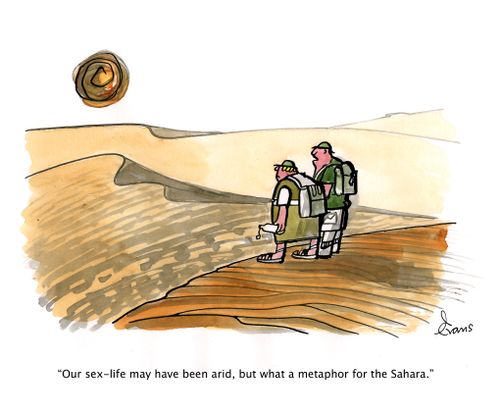"Our sex-life may have been arid, but what a metaphor for the Sahara."
