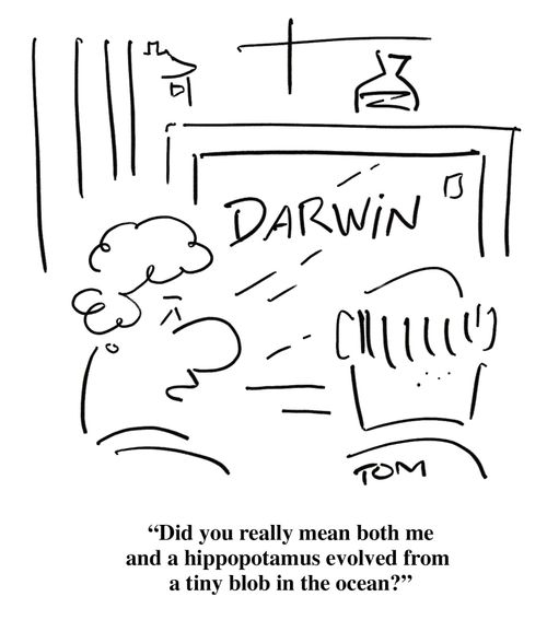 'Did you really mean both me and a hippopotamus evolved from a tiny blob in the ocean?'