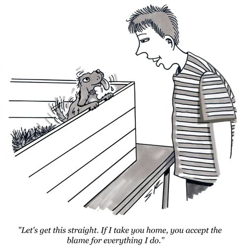 Take You Home