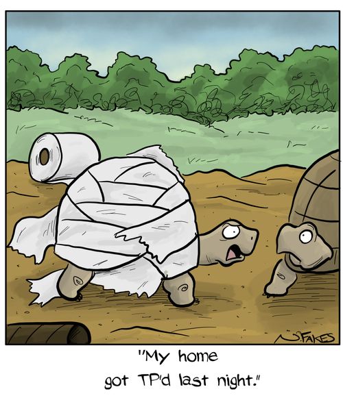 "My home got TP'd last night."