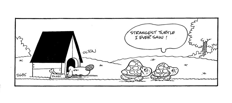 'Strangest turtle I ever saw!'