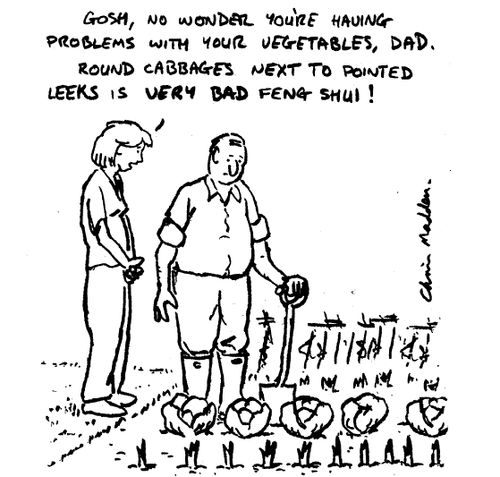 "Gosh,no wonder you're having problems with your vegetables,dad.Round cabbages next to pointed leeks is very bad Feng Shui!"
